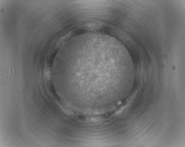 X0000074300137200609151951