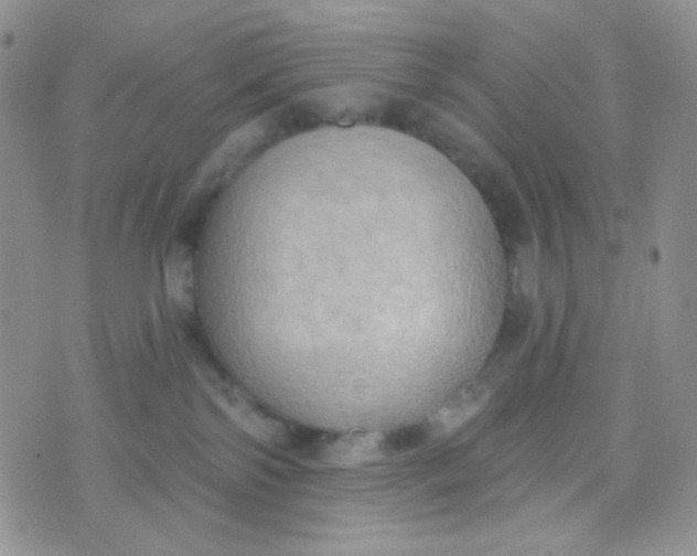 X0000074300138200609151951