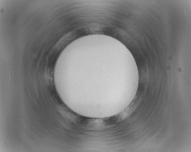 X0000074300140200609151951