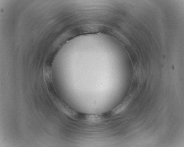 X0000074300141200609151951