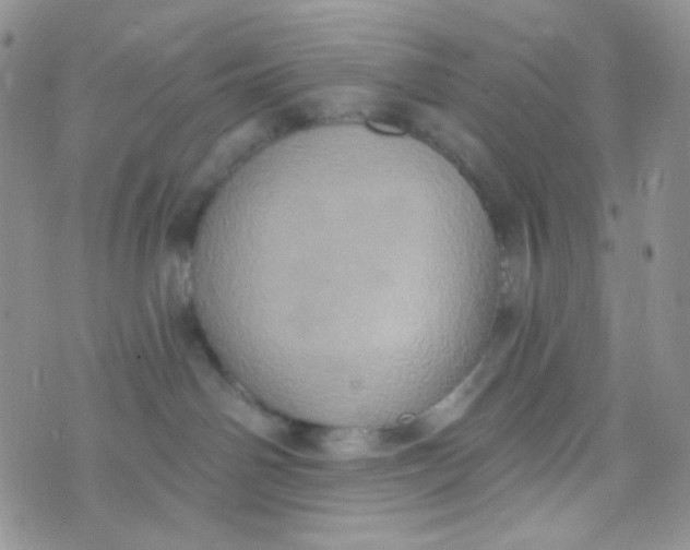 X0000074300142200609151951