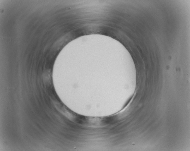 X0000074300144200609151951