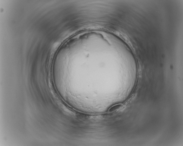 X0000074300145200609151950