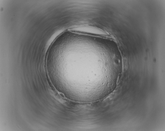 X0000074300147200609151950