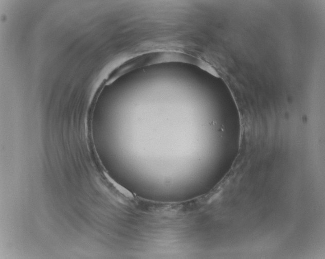 X0000074300148200609151950