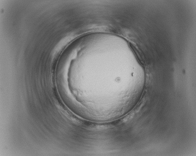 X0000074300149200609151950