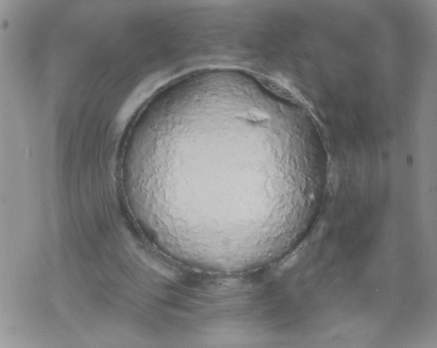 X0000074300151200609151950