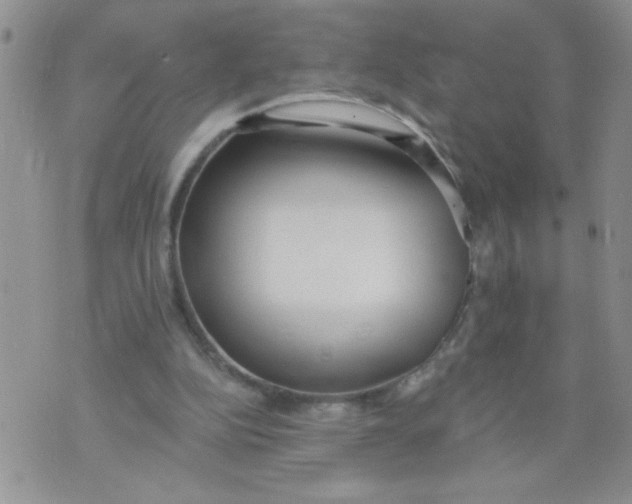 X0000074300152200609151950