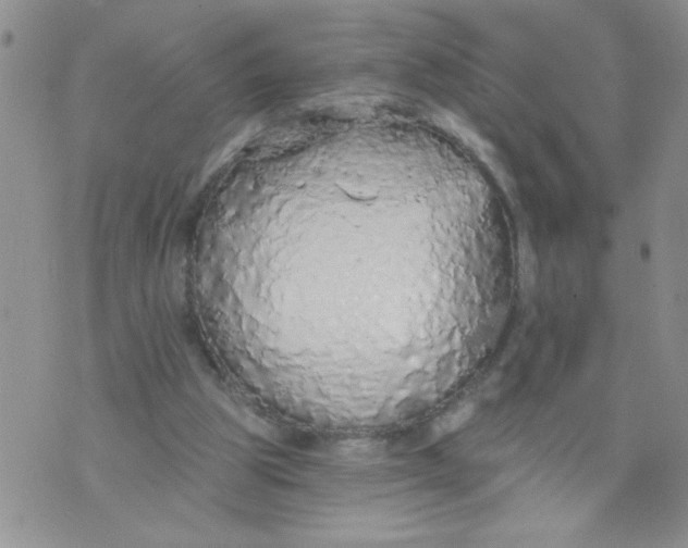 X0000074300153200609151950