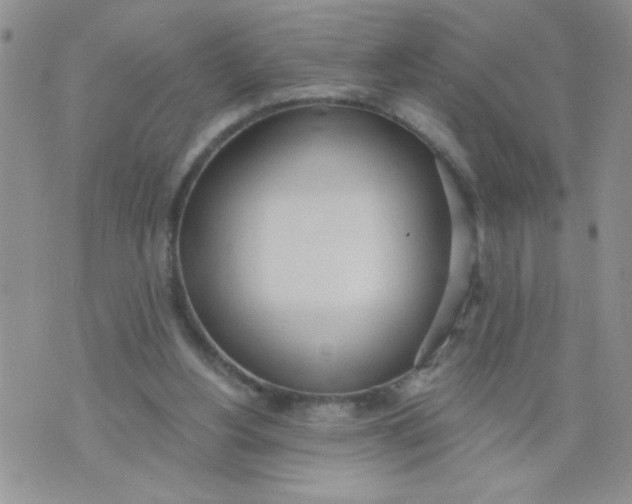 X0000074300156200609151950