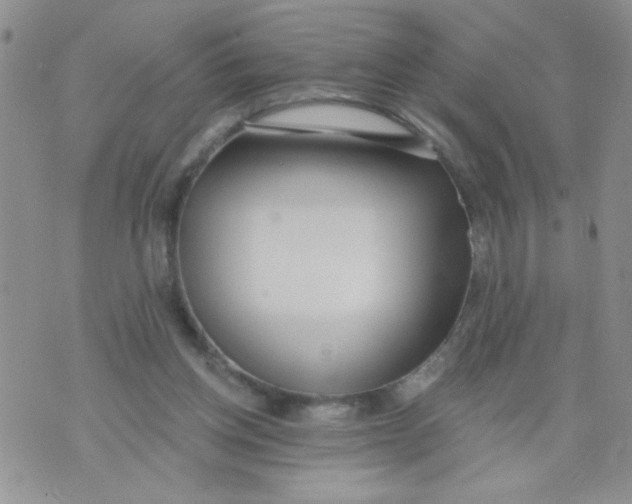 X0000074300158200609151950