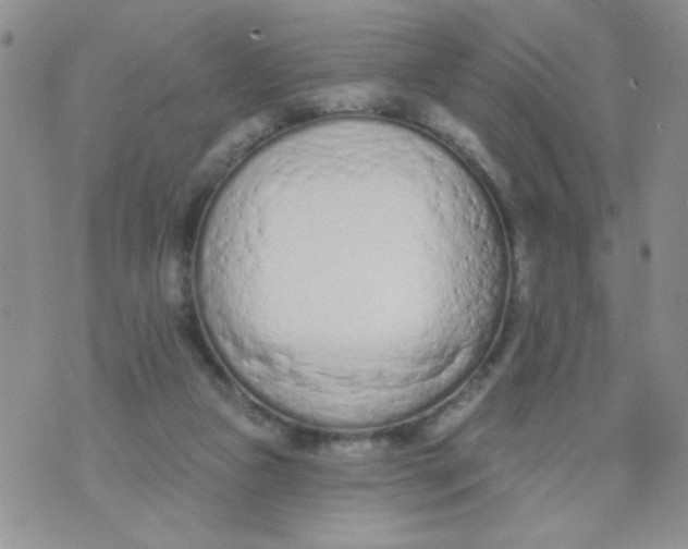 X0000074300161200609151950