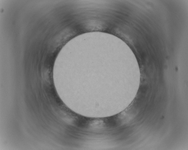 X0000074300162200609151950