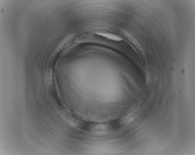 X0000074300163200609151950