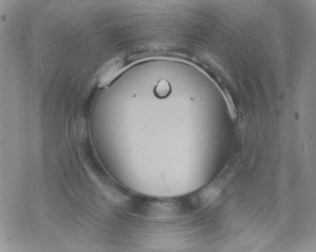 X0000074300164200609151950