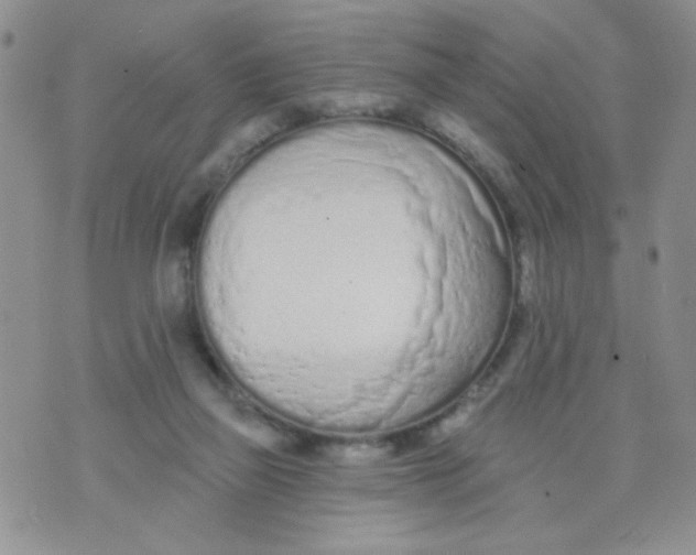 X0000074300165200609151950