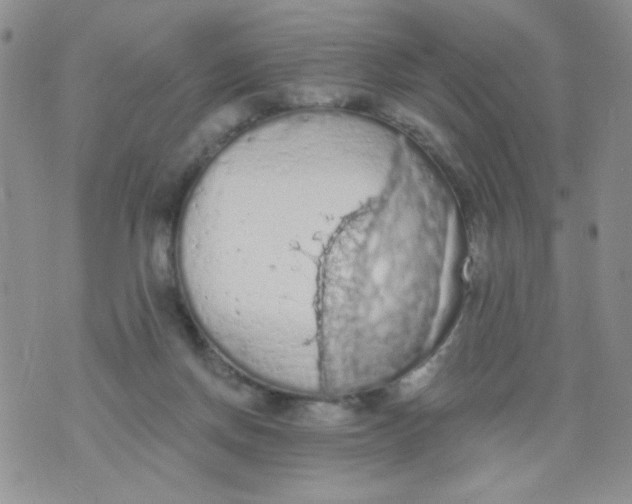 X0000074300166200609151951