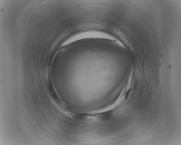 X0000074300167200609151951