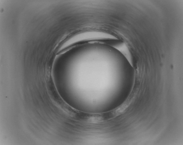 X0000074300168200609151951