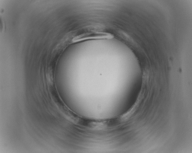 X0000074300170200609151951