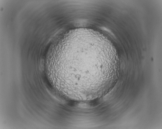 X0000074300171200609151951