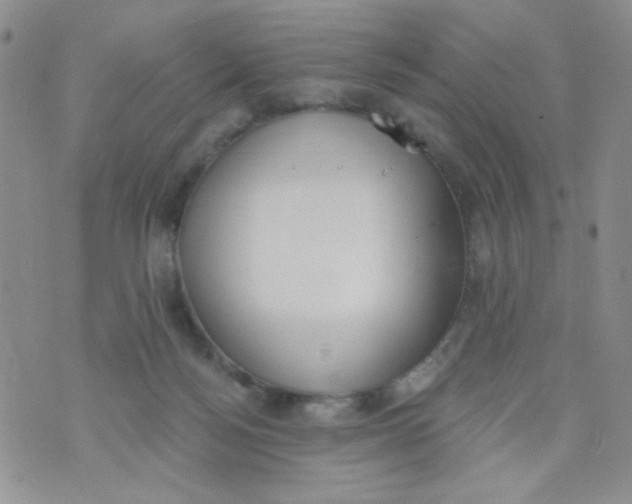 X0000074300172200609151951