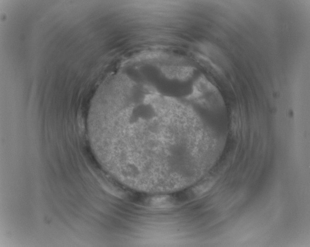 X0000074300173200609151951