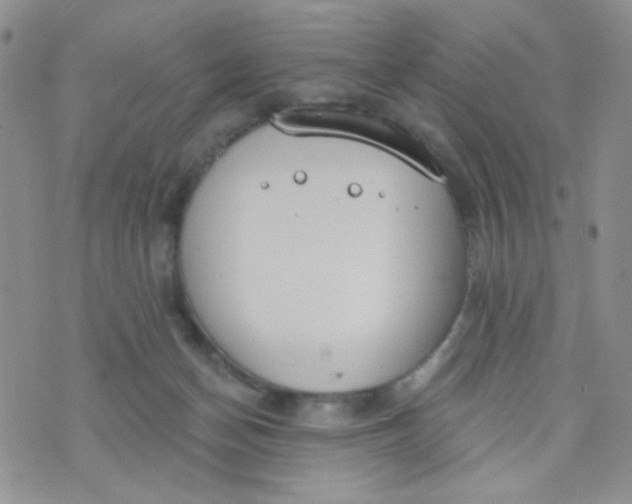 X0000074300174200609151951