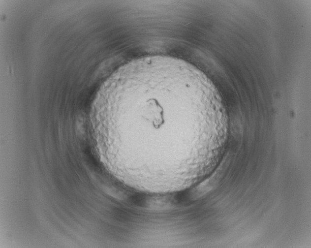 X0000074300175200609151951