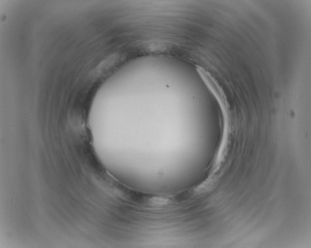 X0000074300176200609151951