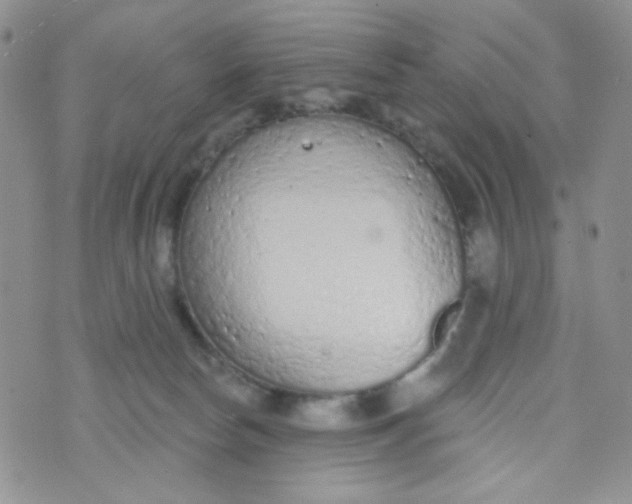 X0000074300178200609151951