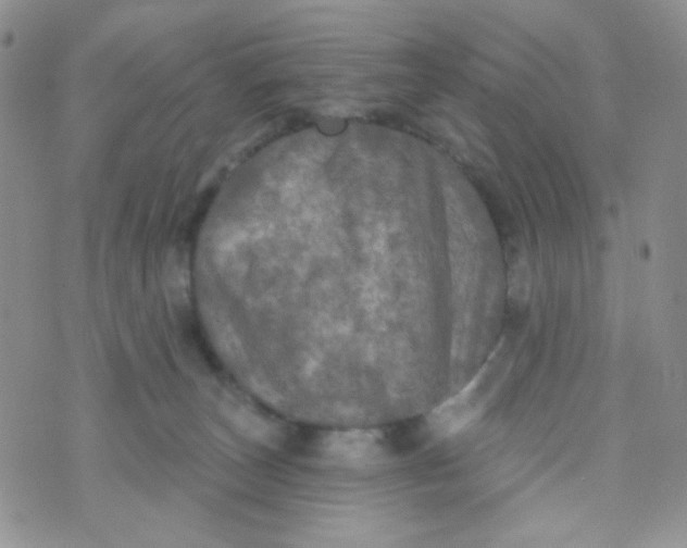 X0000074300179200609151951