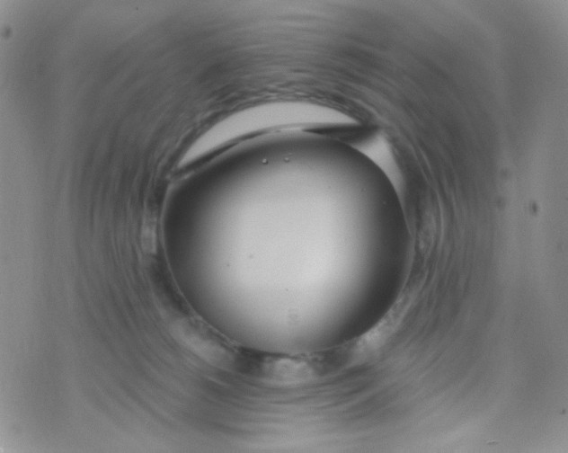 X0000074300180200609151951