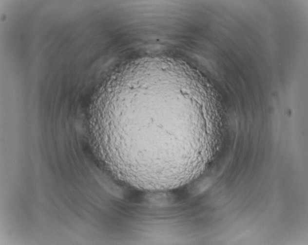 X0000074300181200609151951