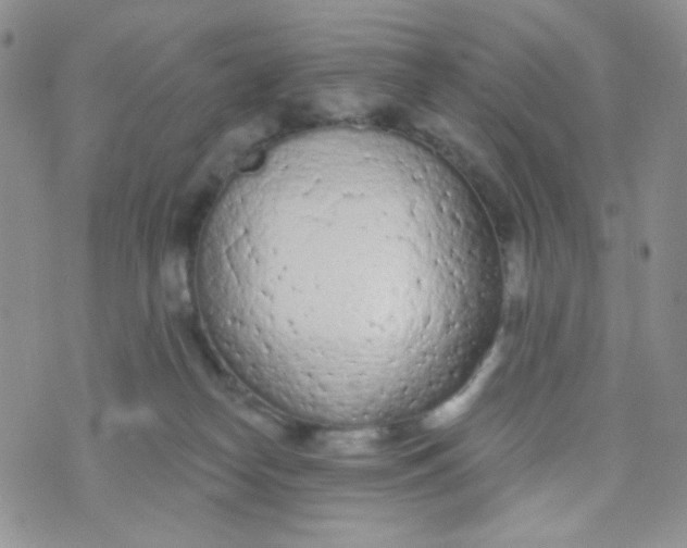 X0000074300182200609151951