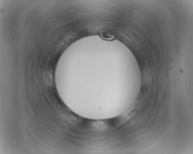 X0000074300183200609151951