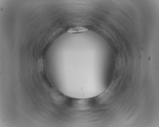 X0000074300184200609151951