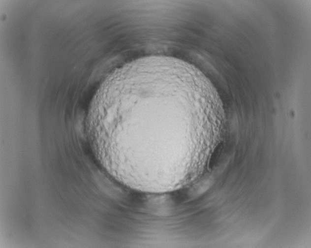 X0000074300185200609151951