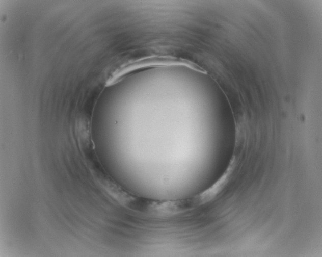 X0000074300186200609151951