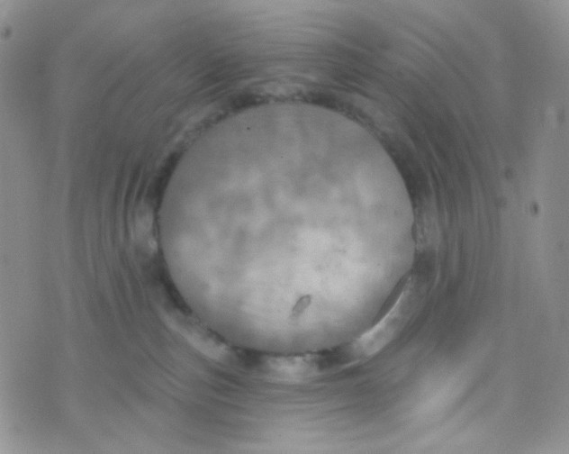 X0000074300187200609151951