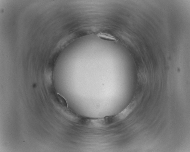 X0000074300188200609151951