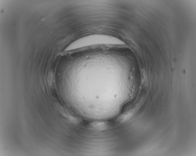 X0000074300189200609151951