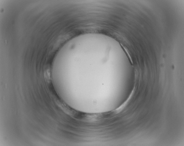 X0000074300190200609151951