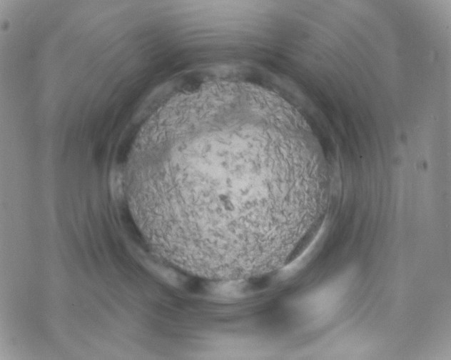 X0000074300191200609151951