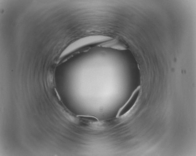 X0000074300192200609151951