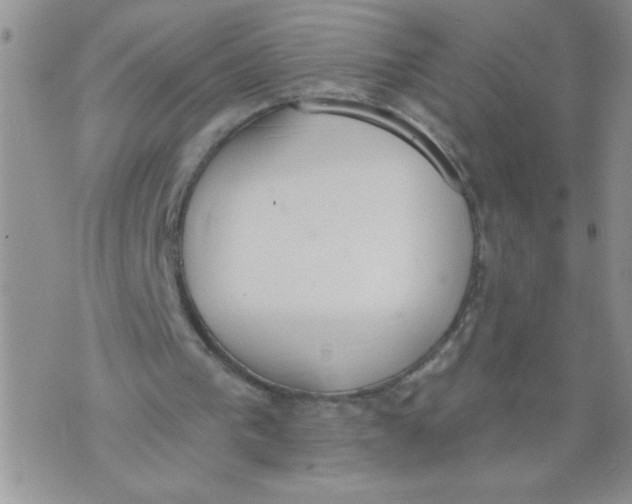 X0000074300193200609151950