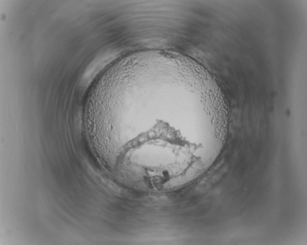 X0000074300194200609151950