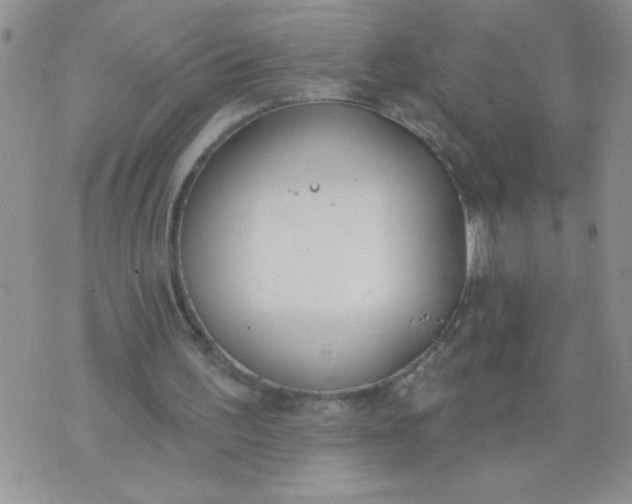 X0000074300195200609151950