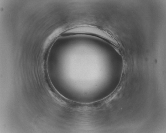 X0000074300197200609151950