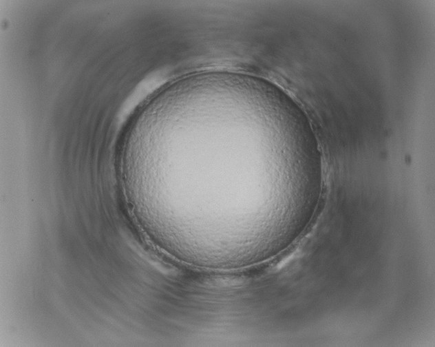 X0000074300198200609151950